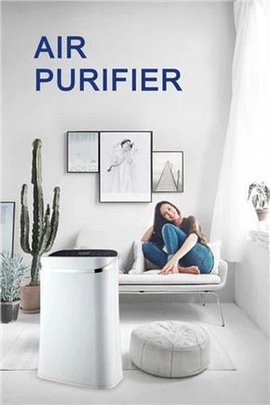 BKJ-310F-A01 Rumsluftrenare Andas frisk luft