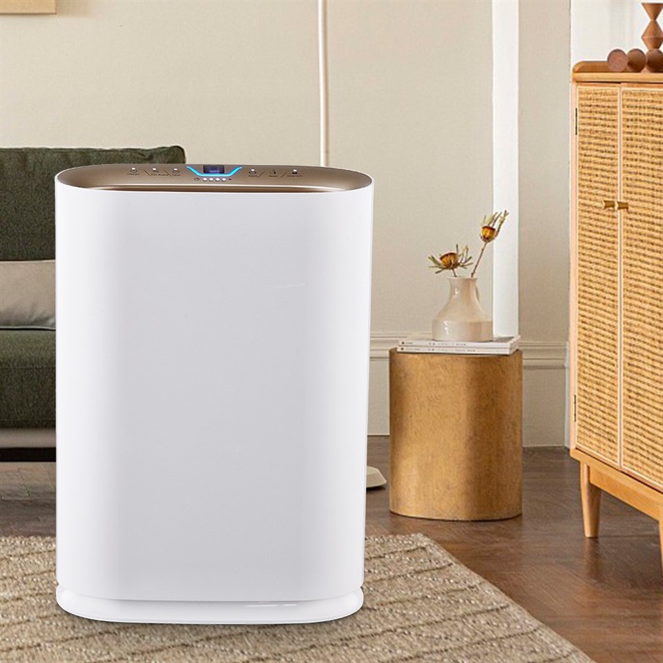 BKJ-300 Air Purifier With HE Filter
